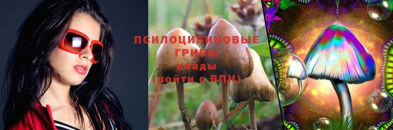 Галлюциногенные грибы Psilocybine cubensis  Тарко-Сале 